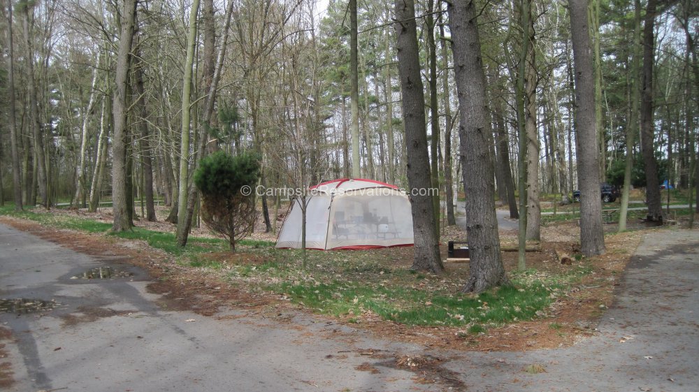 Campsite 226 in KohlerAndrae State Park Campground at KohlerAndrae State Park, Wisconsin